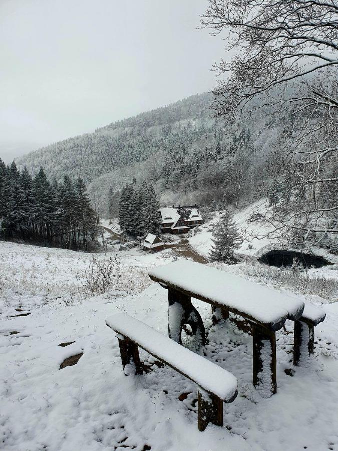 Apartament Mountains Góry Sowie Jugów Exterior foto